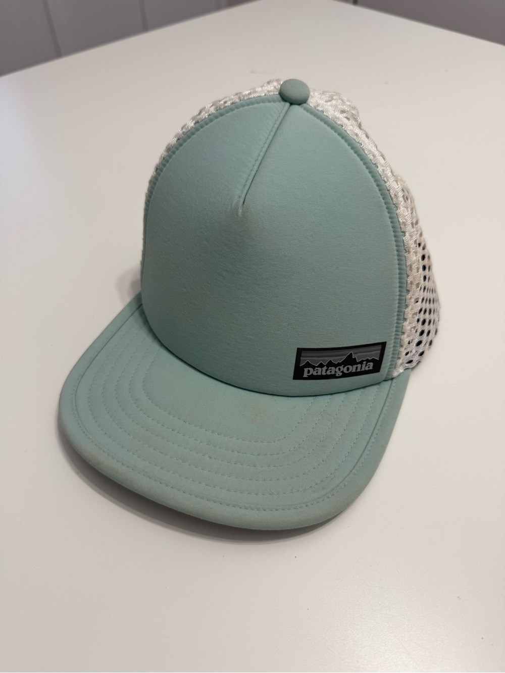 Patagonia Light Mint Mesh-Back Cap